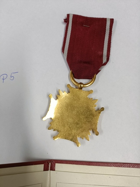 Złoty krzyż zasługi p5