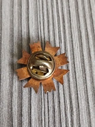 Odznaka honorowa 50 lecia LOK p4 miniatura