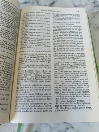 Biblia to jest pismo święte starego i nowego testamentu 1981