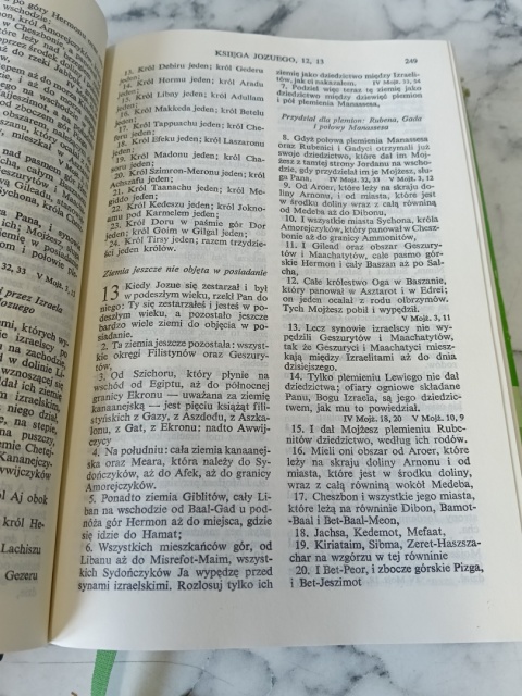 Biblia to jest pismo święte starego i nowego testamentu 1981