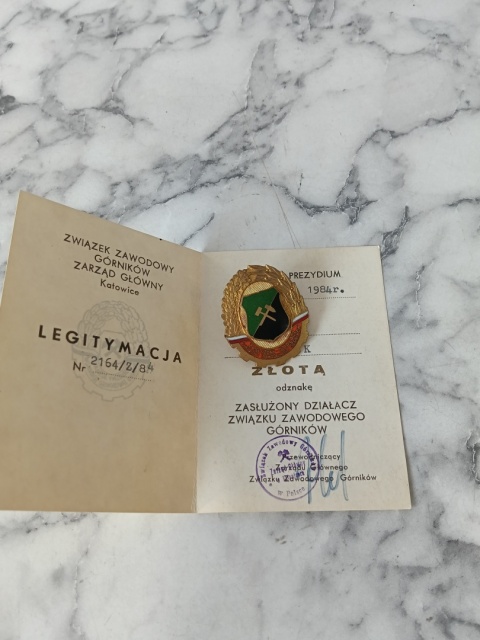 Odznaka zasłużony działacz ZZG pg